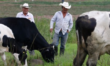 Destinan 1% de recursos del FAIS a zonas rurales