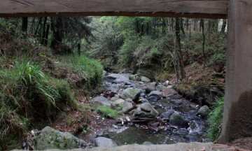 Contaminan 8 mil empresas al Atoyac