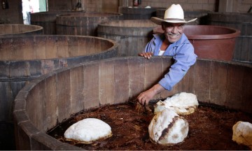Mezcal poblano, entre el autoconsumo y la reventa