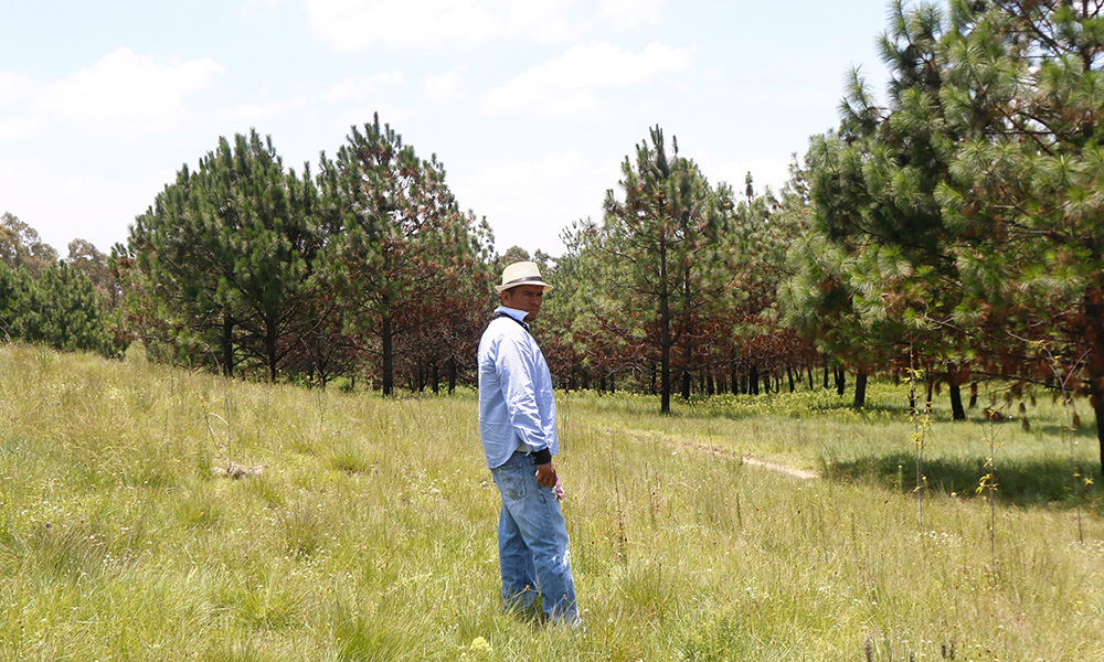 Venden el cerro del Zapotecas por Internet