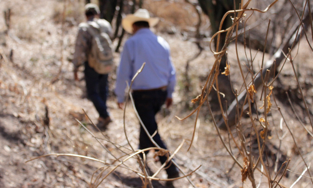 Fracasa plan para emplear a paisanos deportados