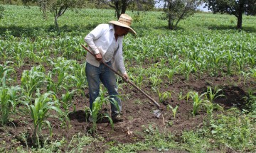 Piden obreros y campesinos erradicar el TLCAN