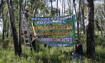 Reforestan cerro de Amalucan