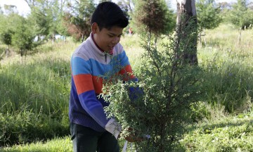 Posponen trámites fiscales obras del parque en Amalucan