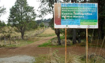 Detectan anomalías en Áreas Naturales Protegidas