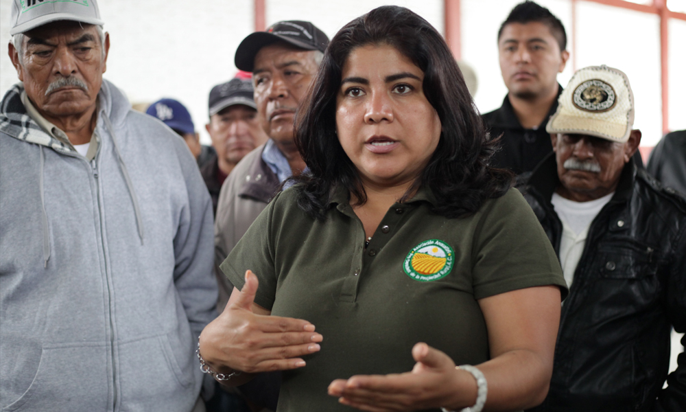 Denuncian complicidad entre delincuentes y funcionarios