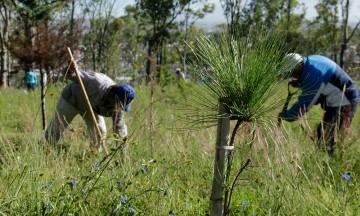 Ingresan amparo por cerro de Amalucan