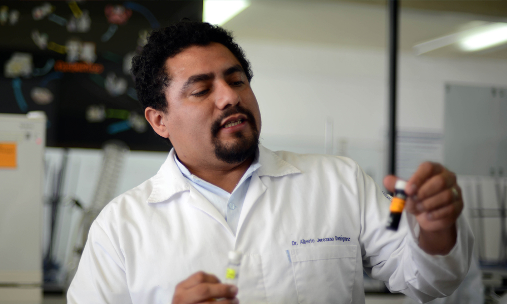 Lengua de vaca, planta para combatir enfermedades bucales: BUAP
