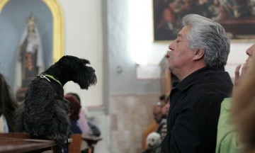 Piden ante Dios protección para sus mascotas