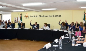 IEE designa a integrantes de los 217 consejos municipales 