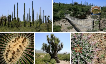 San Juan Raya, el secreto mejor guardado de la Reserva de la Biosfera