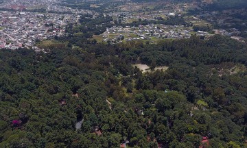 Invirti&oacute; 188.3 mdp Moreno Valle en Flor del Bosque