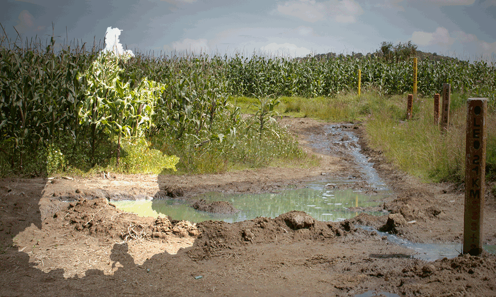 Puebla, tercera entidad más contaminada por el huachicol