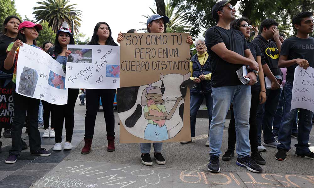 Marcharán por los derechos animales