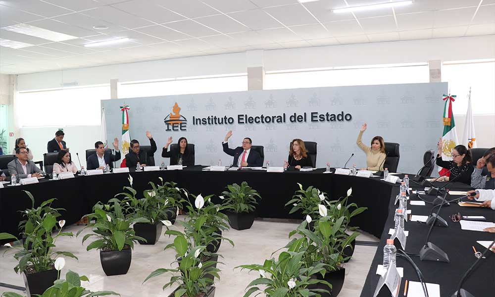 Será el Panal un instituto político local 