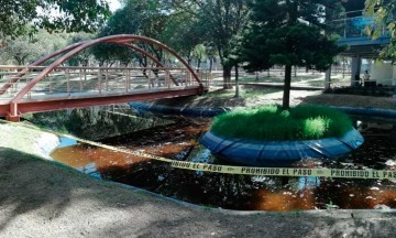 Dan mantenimiento a la zona del Parque Ju&aacute;rez