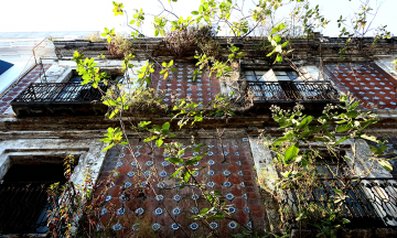 Fotorreportaje: Abandono enverdece edificios en Puebla