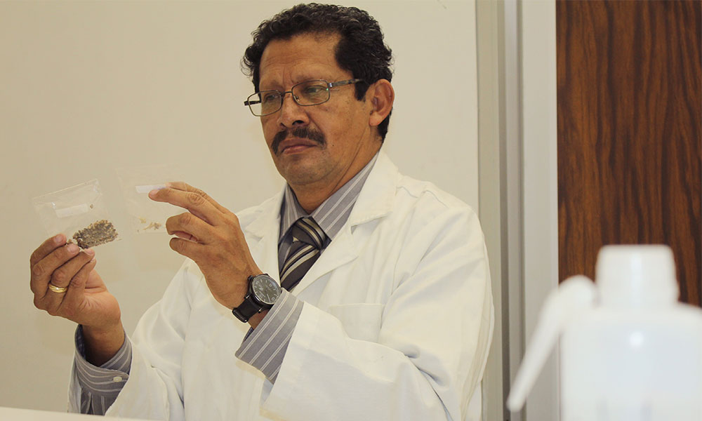Investigador de la BUAP analiza dieta de cacomixtle