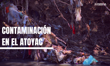 Heces y amonio provocaron muerte de peces del Atoyac