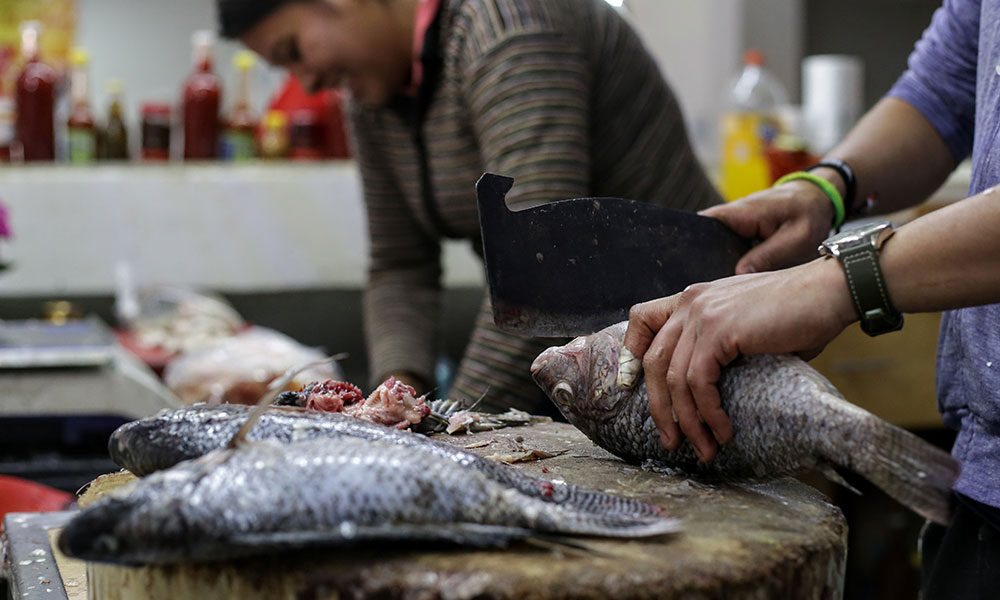 Comerciantes de pescado prevén incremento de 50% en ventas