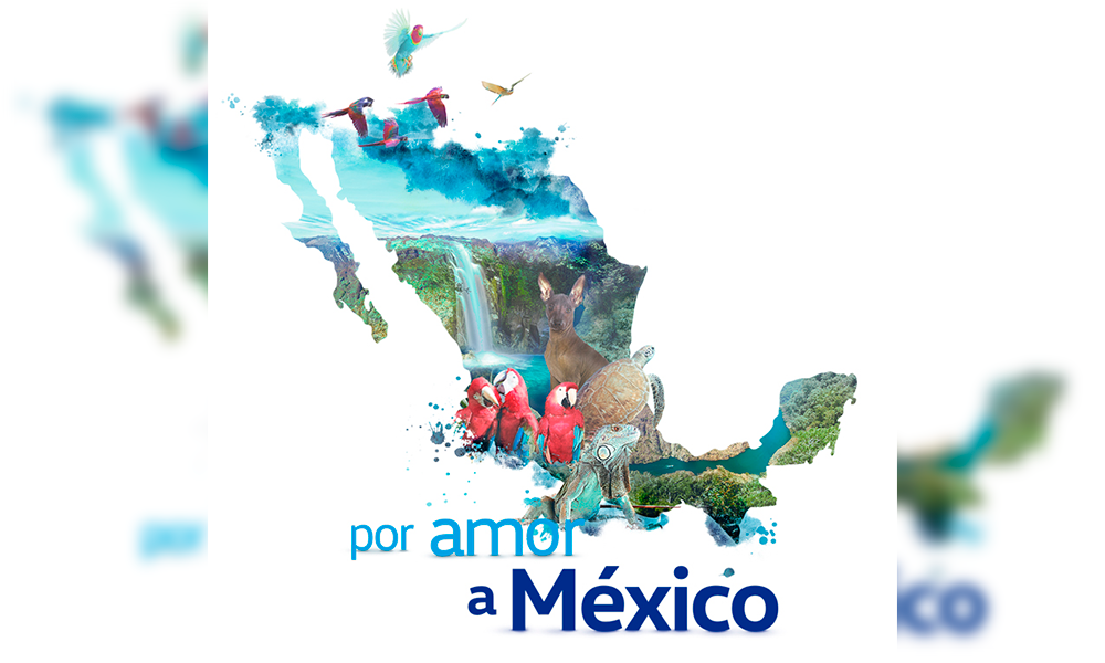 Volkswagen, Por amor a México inicia etapa final de recepción de proyectos