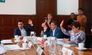 Crean el Consejo de Participación Ciudadana de Bienestar