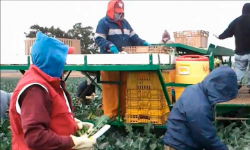 Trabajadores perciben menos de 205 pesos al día