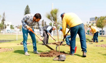 SMAOT realiza jornada de forestación en zona metropolitana