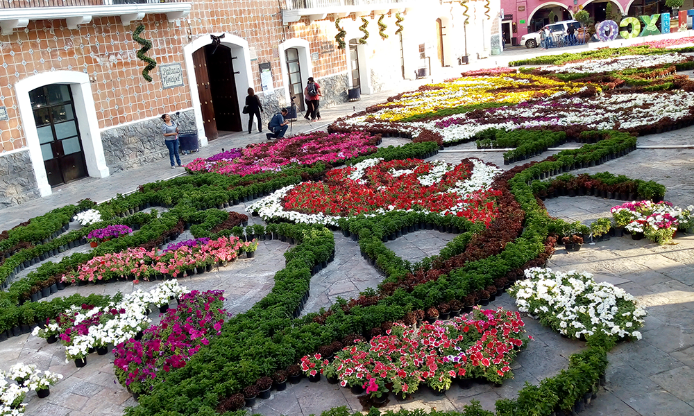 Se anuncia expo flores y plantas en Atlixco