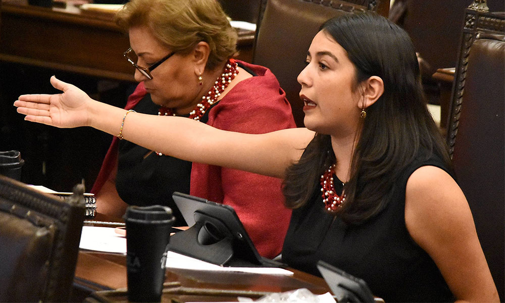 Pintas feministas, sinónimo de hartazgo: Vianey García