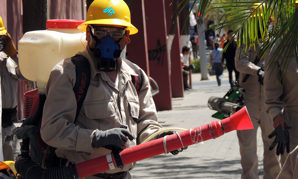 Puebla, en alerta por epidemia de dengue; hay 536 casos