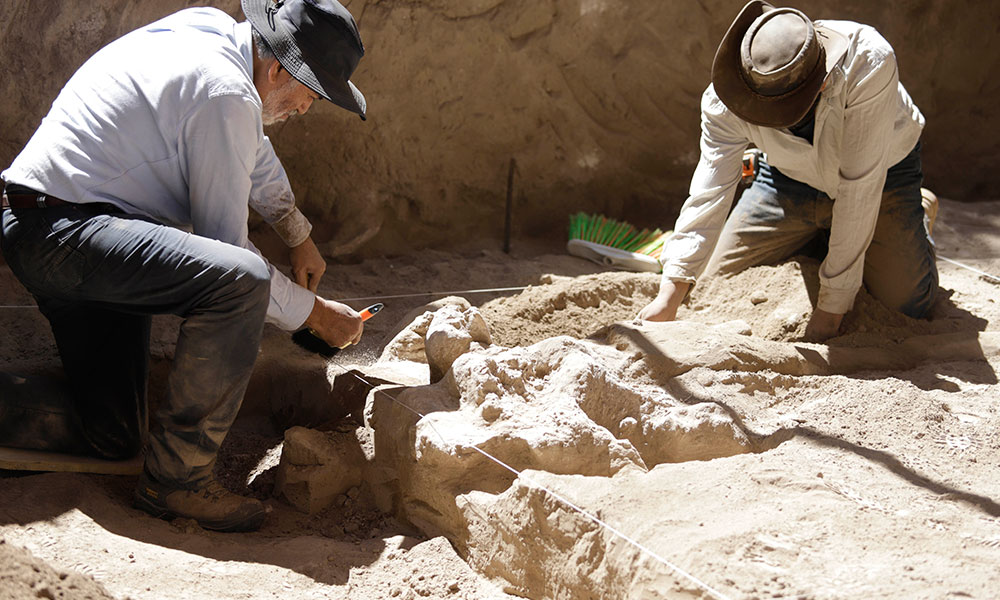 Tunero y su hijo hallan restos de Mamut en Puebla