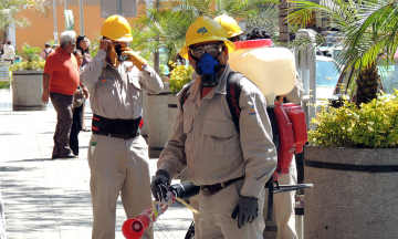 Llegan tarde recursos para atender casos de dengue en Puebla