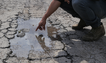 Municipios de Puebla, a merced del mosquito del dengue