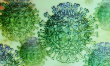 Reportan caso de coronavirus en IMSS San Bartolo