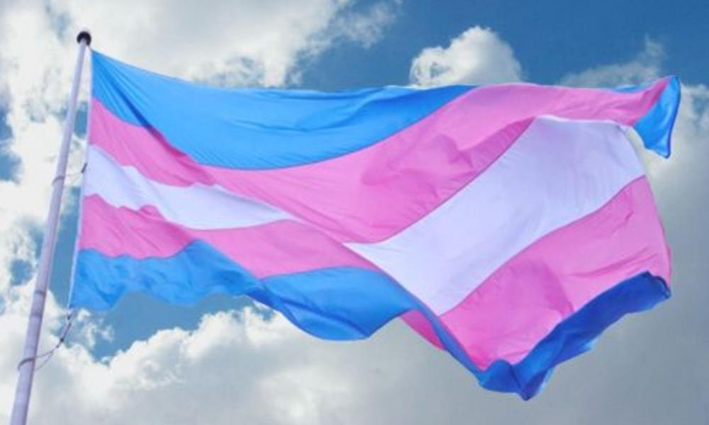 CDH presenta cartilla Personas Transgénero y sus Derechos
