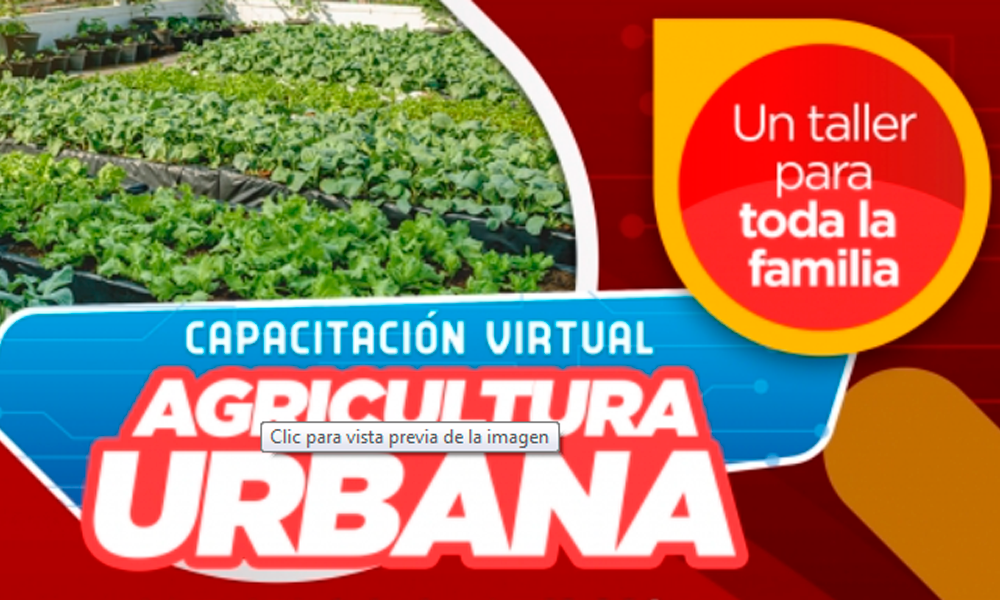 Lanzan capacitación sobre Agricultura Urbana 
