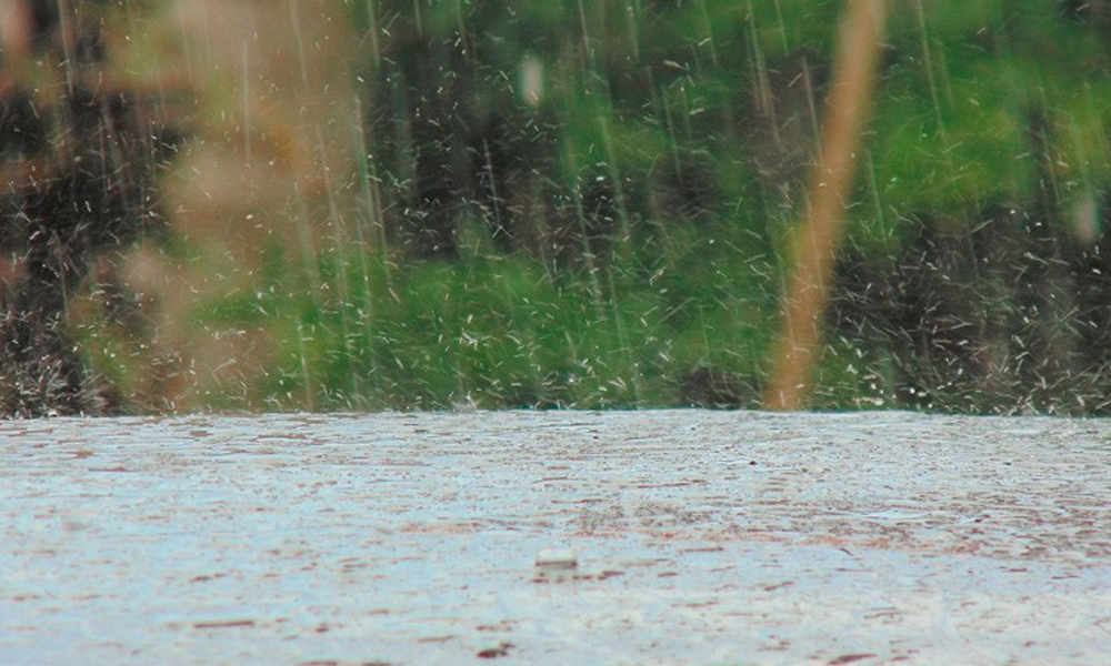 Necesarias acciones preventivas ante temporada de lluvias: Manzanilla Prieto 