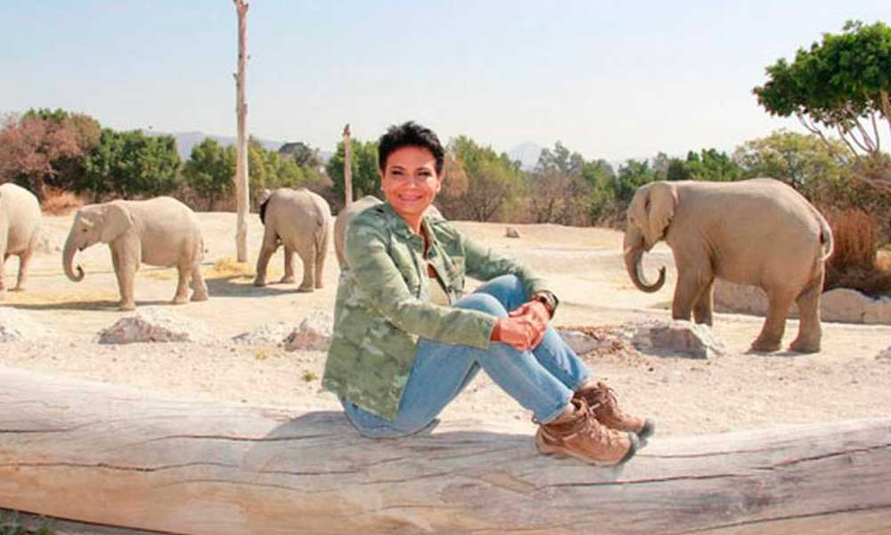 Fallece por muerte cerebral Amy Camacho, directora de Áfricam Safari