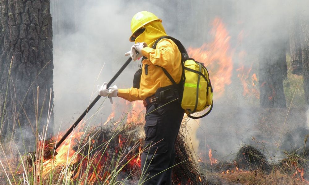 Puebla, séptimo lugar en incendios forestales: Manrique Guevara