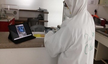 Más de cien especialistas asesoran a doctores durante pandemia
