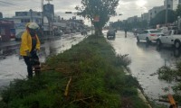 Lluvia deja inundaciones, árboles caídos y una barda colapsada en la capital