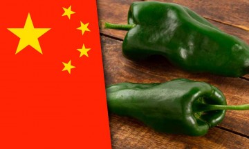 China podría quitarle a Puebla la denominación de origen del chile poblano