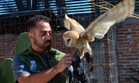 BUAP cumple 5 años de conservar a lechuzas y búhos de Puebla