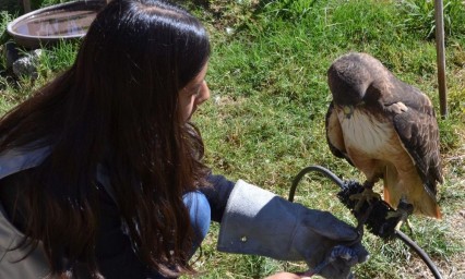 UMA Konkon, cinco años apoyando la conservación de la vida silvestre