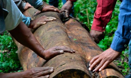 Exclusión y reconocimiento de sus derechos: una lucha permanente de los pueblos originarios