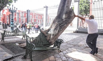 Obras del Centro Histórico responden a la emergencia sanitaria, aseguran