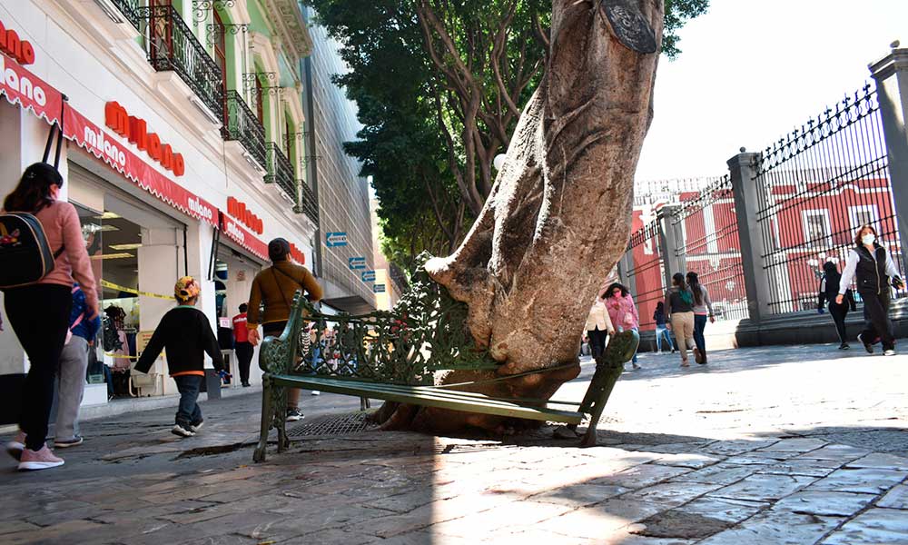 Empresarios con miedo a remodelación en Corredor 5 de Mayo