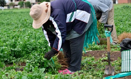 Exhortan a instalar laboratorios para mejorar la siembra en Puebla