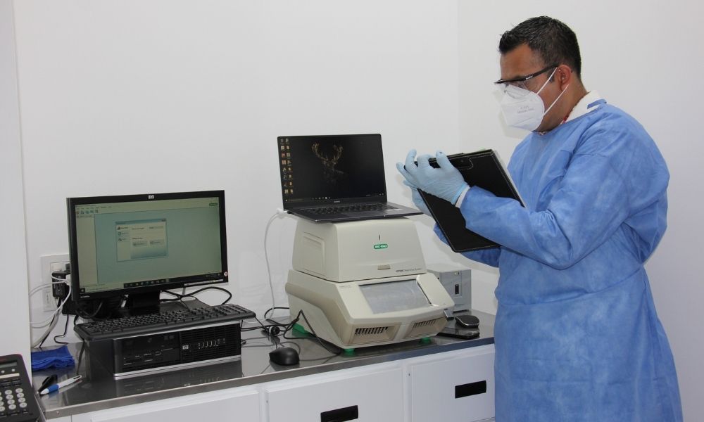 Ponen a disposición de la sociedad laboratorio de Diagnóstico Molecular para pruebas PCR para la detección de Covid-19